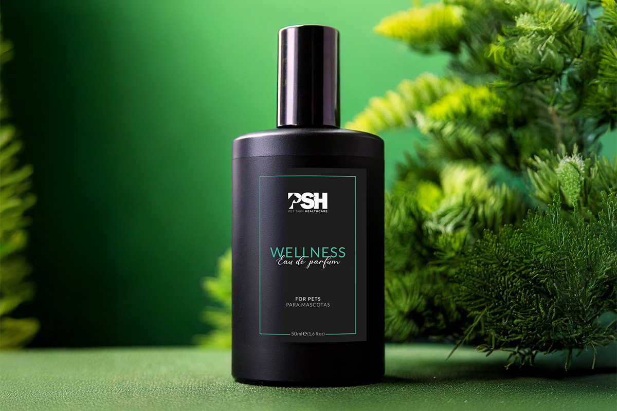 Etiqueta premium para productos de cosmética de PSH impresas por Zaforsa